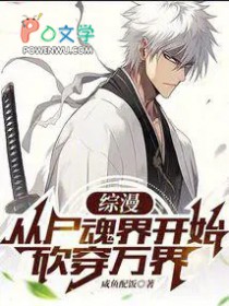 综漫:从尸魂界开始砍穿万界
